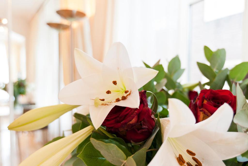 La Vie En Rose Centre Bed and breakfast